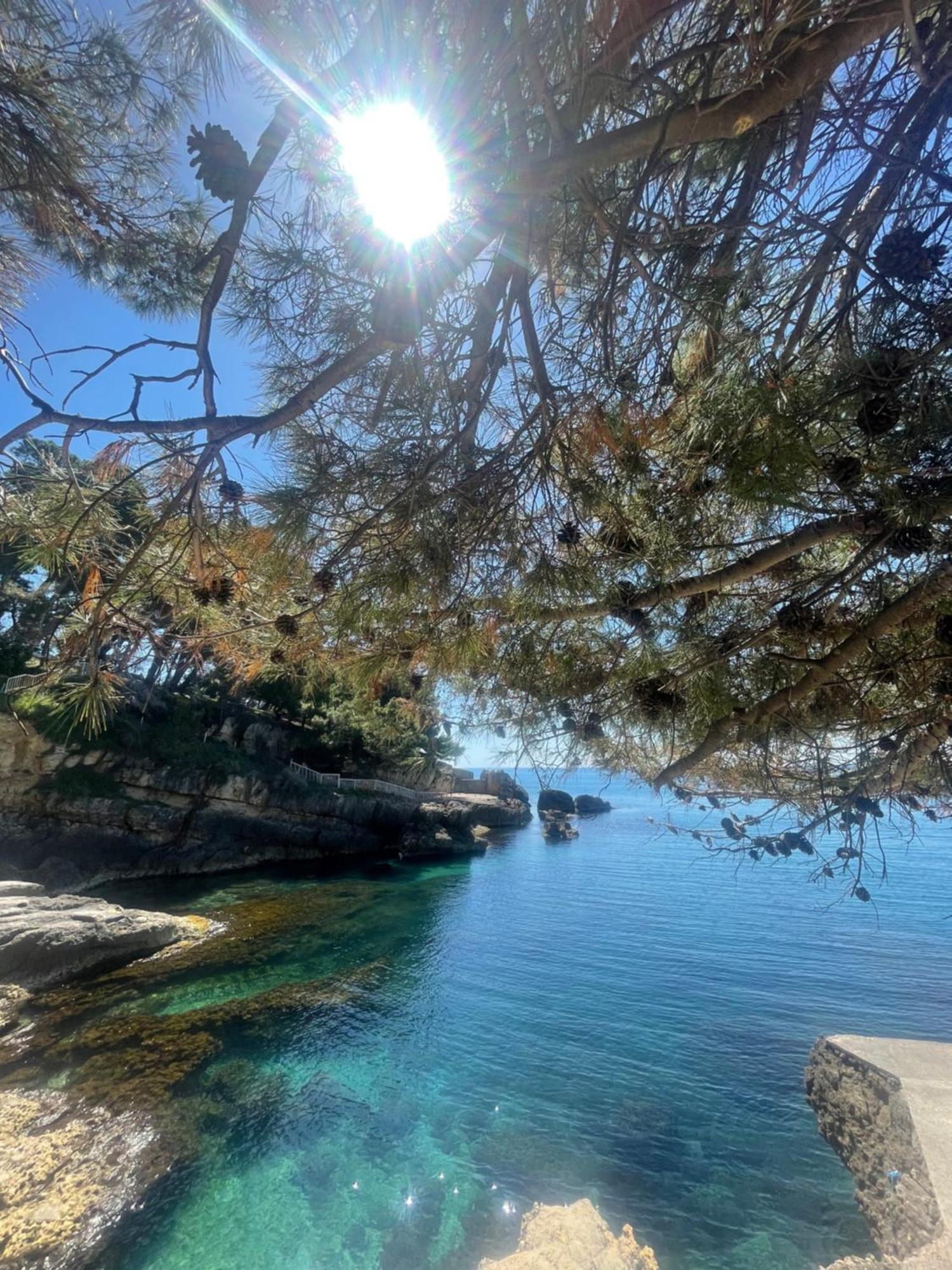 Corpus A - Hotel Albatros Ulcinj Luaran gambar